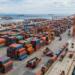 Manufacturing industry drives Mexican exports in June