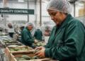 Cold chain, the link that will define the competitiveness of agri-food exports: Emergent Cold