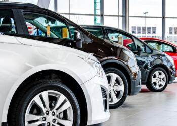 Light vehicle sales close the first half of the year with positive results