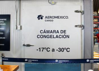 Sub-zero logistics: Aeromexico Cargo installs its first freezer chamber at AICM