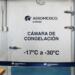 Sub-zero logistics: Aeromexico Cargo installs its first freezer chamber at AICM Sub-zero logistics: Aeromexico Cargo installs its first freezer chamber at AICM