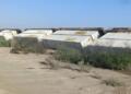 Ferromex train derails in Coahuila logistics corridor Ferromex train derails in Coahuila logistics corridor