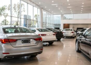 Light vehicle sales maintain momentum and break cumulative records during August