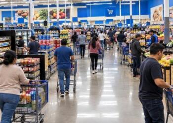 Wholesale and retail trade revenues rebound in August
