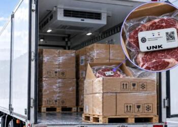 Transportation and last mile, the most vulnerable points in the cold chain